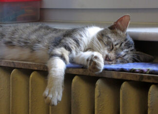 Grzejniki na podczerwień