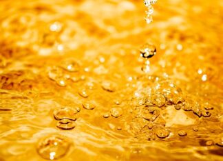 Jak dobrze wyczyścić muszle klozetowa?