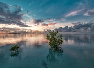 Czy narożnik musi stać w rogu?