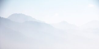 Czy wioślarz jest dobry na kręgosłup?