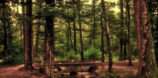 Gdzie powiesić duże lustro?