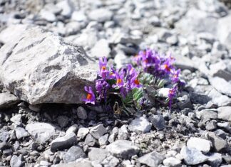 Co zrobić żeby nie śmierdziało z kominka?