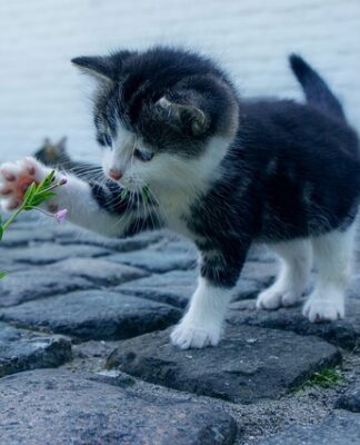 Co zrobić aby mieć ładny pokój?