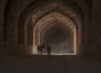 Jaka jest wysokość kompaktu WC?