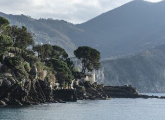 Ile kosztuje komin do pieca gazowego?