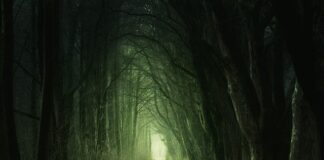 Jakie przejście między łóżkiem a ścianą?