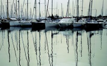 W co pakować kwiaty?